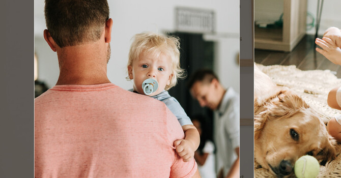 Families First Adjustment image