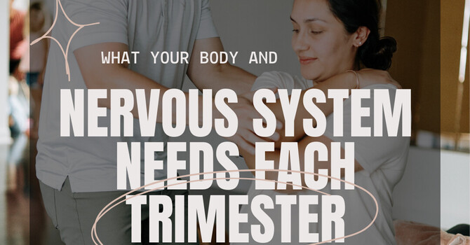 Pregnancy Through The Trimesters 