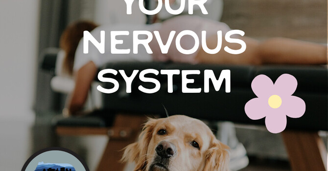 Spring Detox Your Nervous System